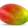 kingofmango12