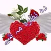 ayazkhan334470