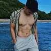 Thanh Hùng Nguyễn
