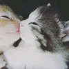 uhxxxqq