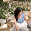 aellobabe