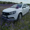 artem52552