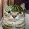 tdszix