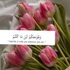 ire7t8