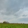 esqin_685