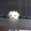 2barkybark