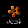 saharfarok865