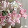 lna.ahn_8th8