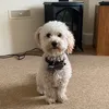 teddy2cxool4u