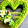 hamed.ali3466