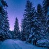 ❄️