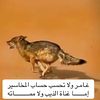 ali0553567328
