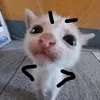 v3r0n1_caa