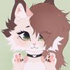 icedmeowcha