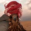wafq11