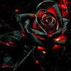 the_shadow_horde