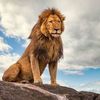 r497170mane