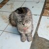 siti.yahoo
