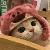 jamcoxxie