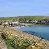aboflark