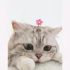 bich260814