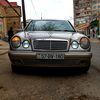 musayev_revan180