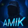 amiko.edts