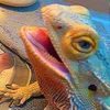 daveofficail