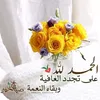 mohamedaitelkad37