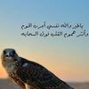 abii576aa