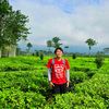 nurgi.hamsyah