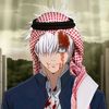 garo_nd2