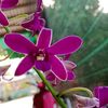 phong_1_9_9_3