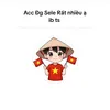 huyhoang0335
