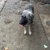 erionduro0