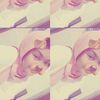 user.biee1