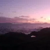 viniciosc121318