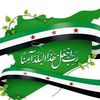 yasminealsham137