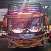 stecustecu2221