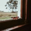 gost_818