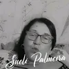 sueli.palmeira
