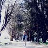 illa_pallay369