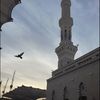 taibaa9