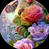 user8833235656407