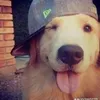 seilaoqseilaoqseilaoq