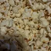 dundermusen6