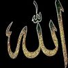 user804371228803