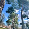 usu_285