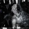 inayascomet