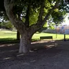 angelpalmero03